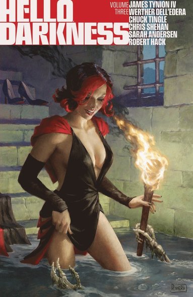 Hello Darkness Vol. 3 (inbunden)