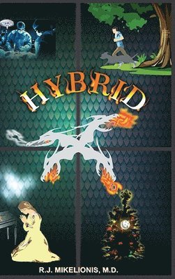 Hybrid (häftad)