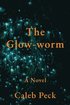 Glow-worm