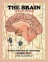 Brain; Student text