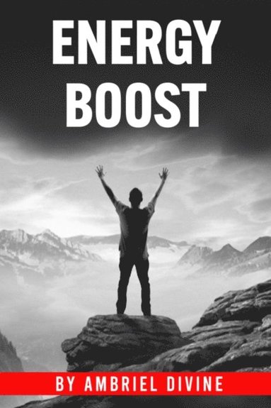 Energy Boost (häftad)