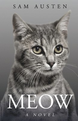 Meow (hftad)