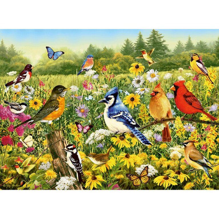Pussel 500 bitar Birds in the Meadow, Övrigt