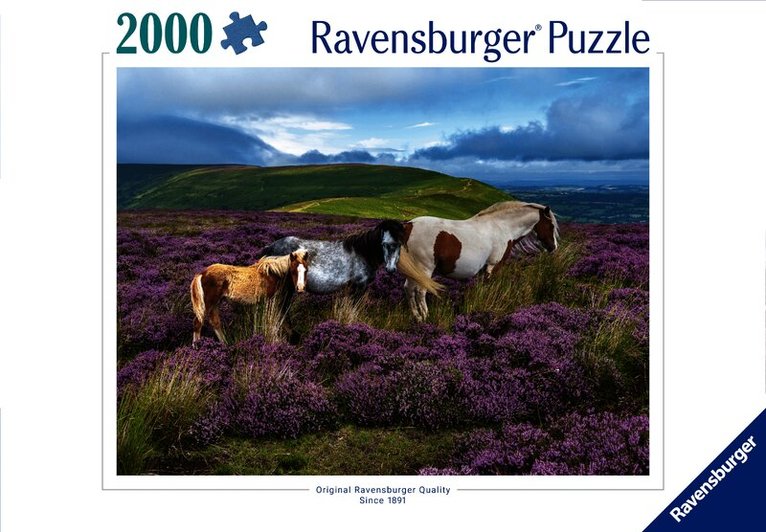 Pussel 2000 bitar Wild Horses, Övrigt