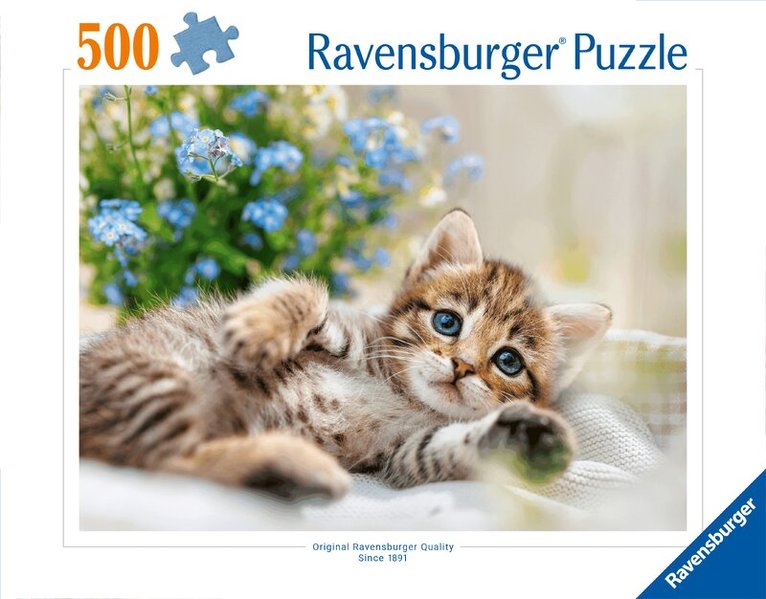 Erwachsenenpuzzle 500 Teile - Süßes Kätzchen, Övrigt