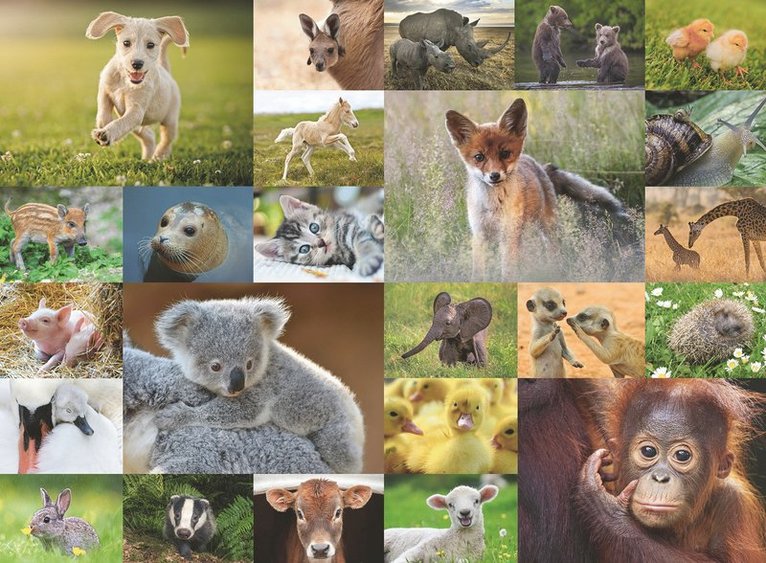 Pussel 200 bitar XXL - Animal Babies, Övrigt