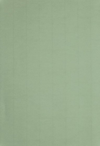 Papper A4 110g 10-pack ljusgr&ouml;n