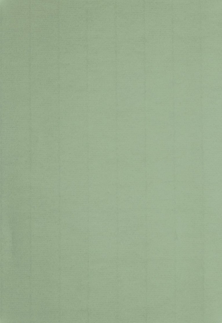 Papper A4 110g 10-pack ljusgrön, Övrigt