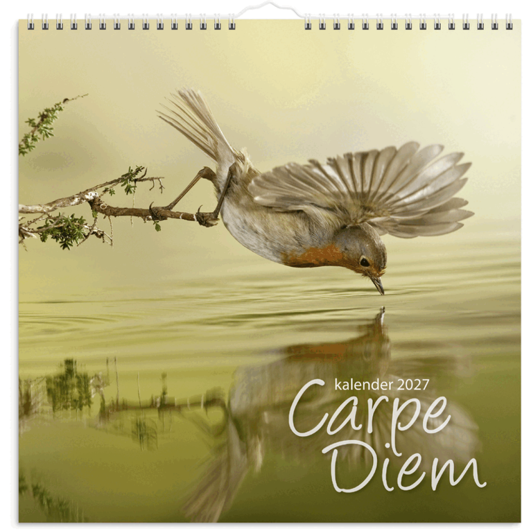 Väggkalender 2027 Carpe Diem, Övrigt