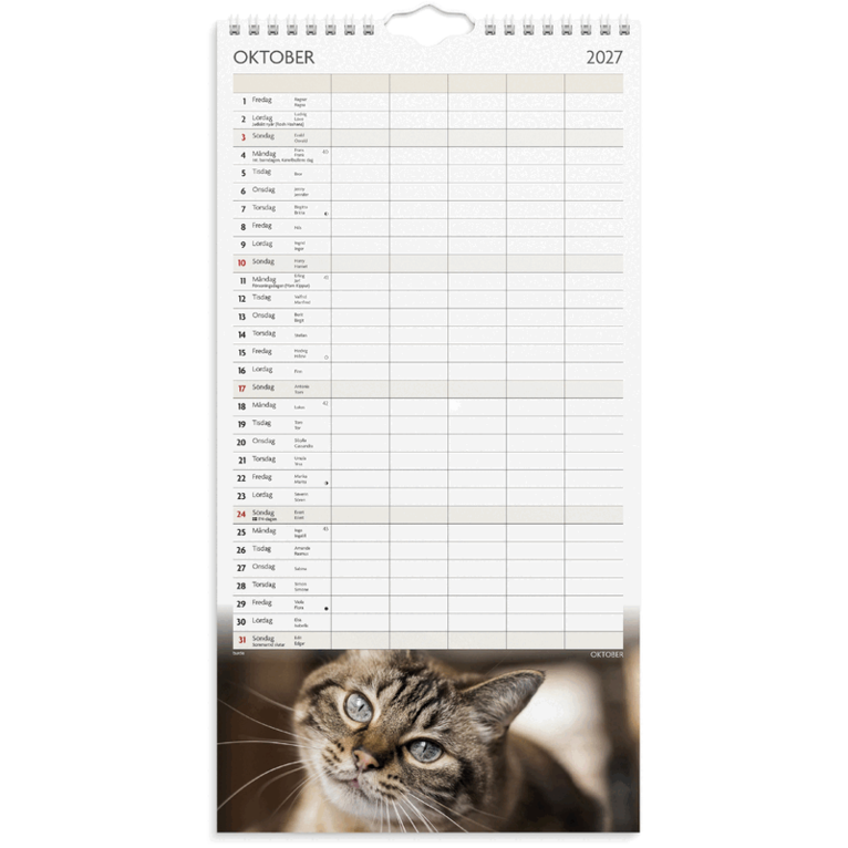 Familjekalender 2027 Katter, Övrigt
