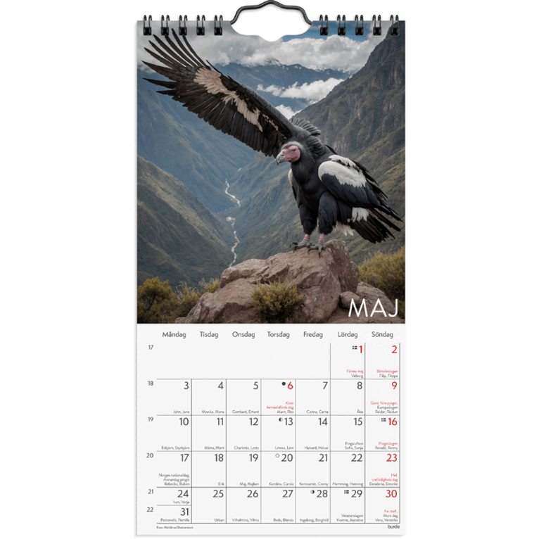 Väggkalender 2027 Wild animals, Övrigt