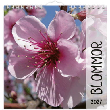 Väggkalender 2027 Blommor, Övrigt