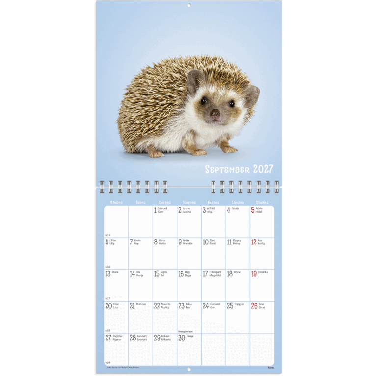 Väggkalender 2027 Sötnosar, Övrigt