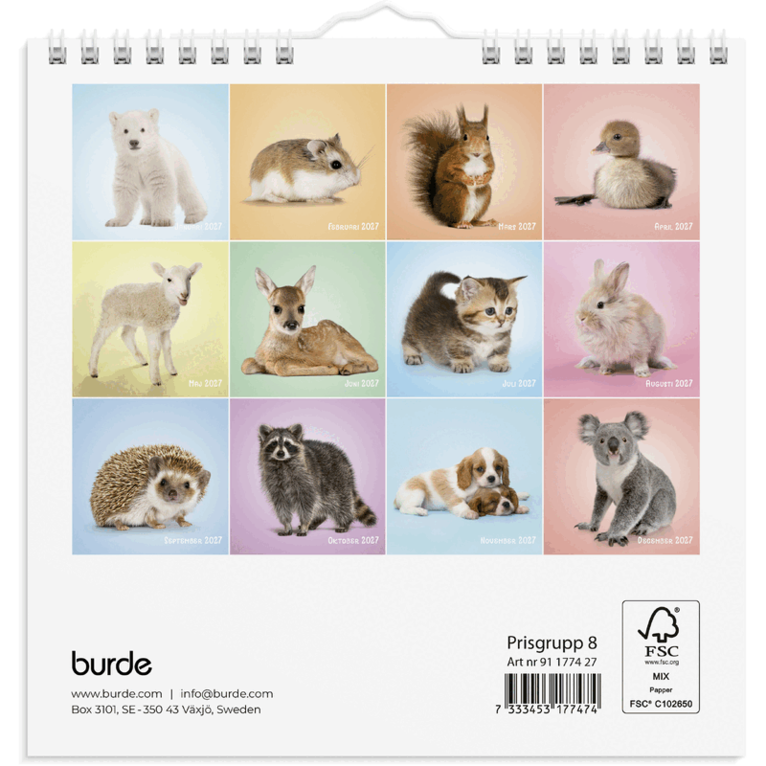 Väggkalender 2027 Sötnosar, Övrigt