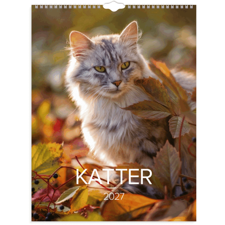 Väggkalender 2027 Stora Kattkalendern, Övrigt. Tillgänglighet: Lägg i varukorg