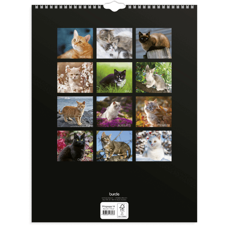 Väggkalender 2027 Stora Kattkalendern, Övrigt