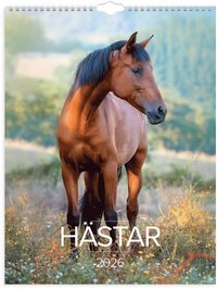 V�ggkalender 2026 Stora H�stkalendern