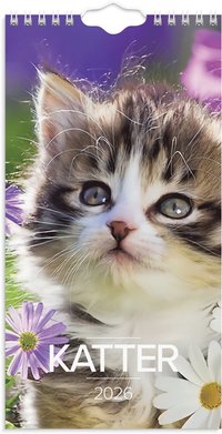 V�ggkalender 2026 Liten Kattkalender