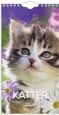 V�ggkalender 2026 Liten Kattkalender