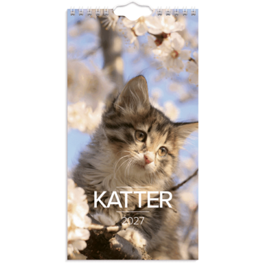 Väggkalender 2027 Liten Kattkalender, Övrigt