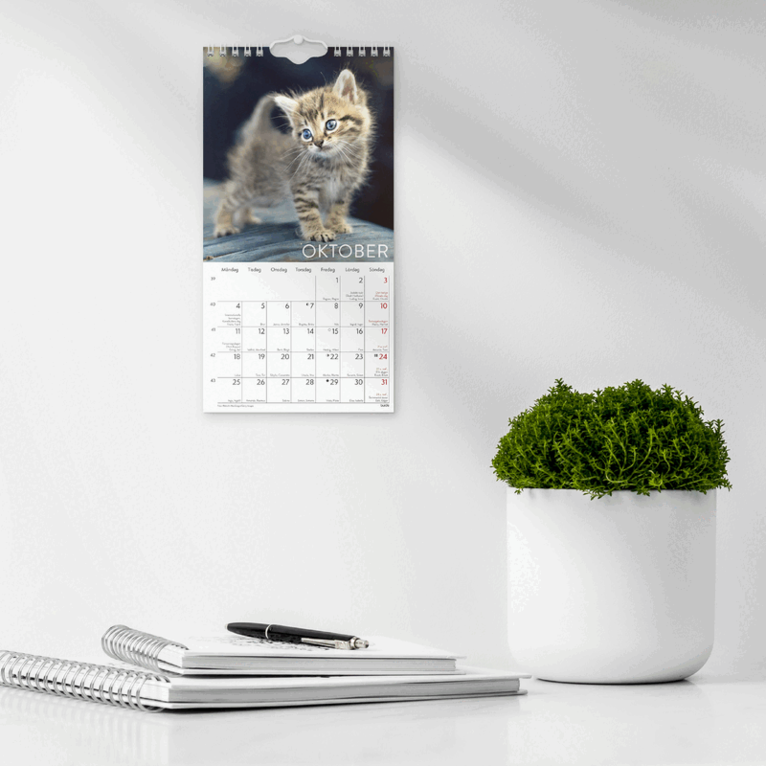 Väggkalender 2027 Liten Kattkalender, Övrigt