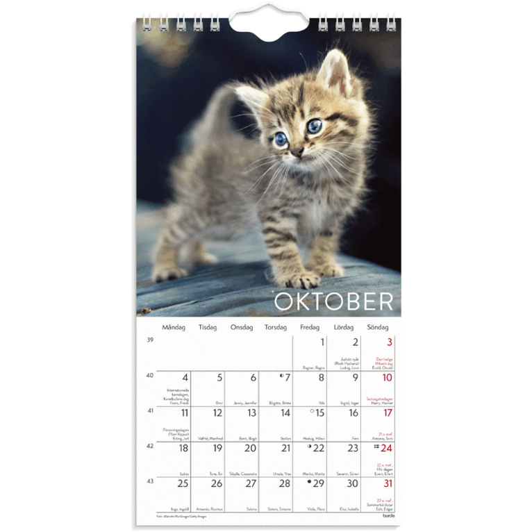 Väggkalender 2027 Liten Kattkalender, Övrigt