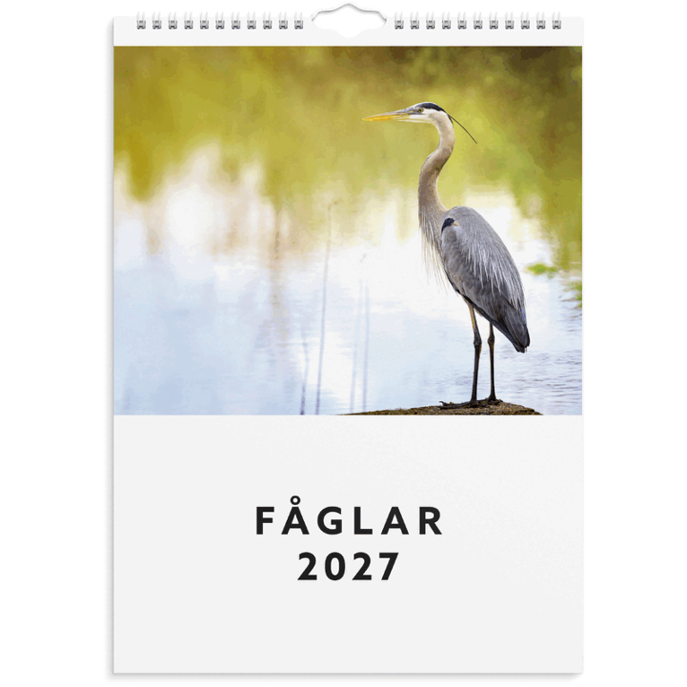 Väggkalender 2027 Fåglar, Övrigt