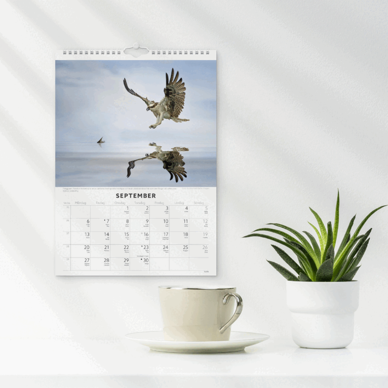 Väggkalender 2027 Fåglar, Övrigt