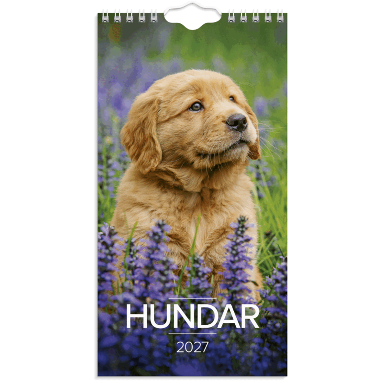 Väggkalender 2027 Liten Hundkalender, Övrigt