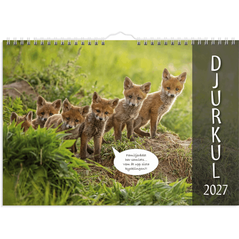 Väggkalender 2027 Djurkul, Övrigt