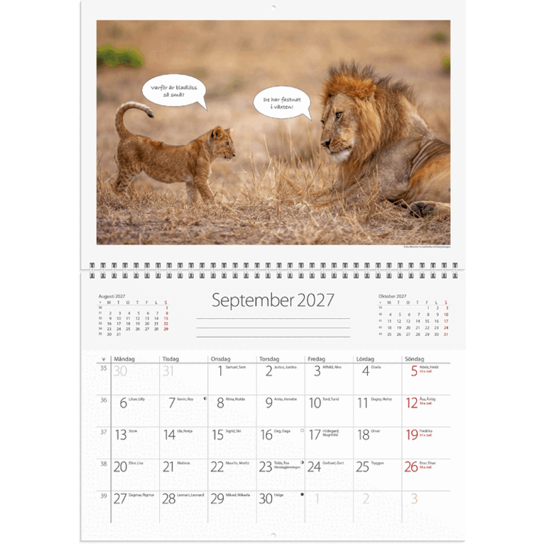 Väggkalender 2027 Djurkul, Övrigt