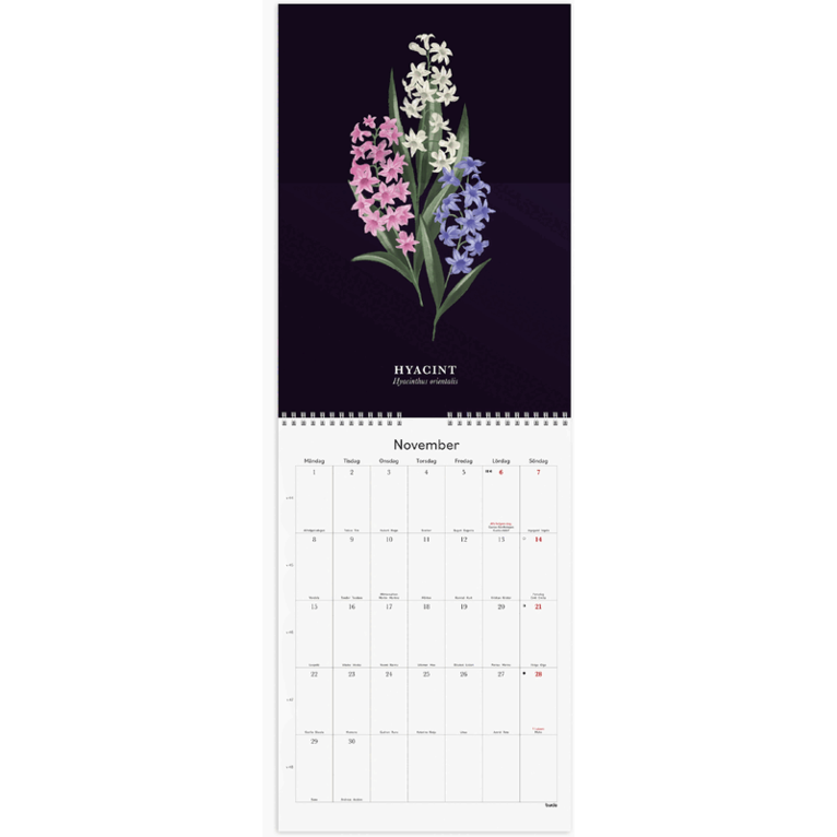 Väggkalender 2027 Illustrerad blomster, Övrigt