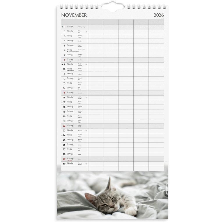 Familjekalender 2026-2027 Katter, Övrigt