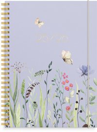 Kalender 2025-2026 Senator A5 Story �ng