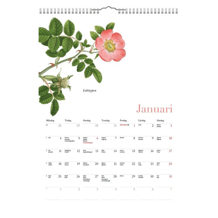 Väggkalender 2027 Blomster A4, Övrigt