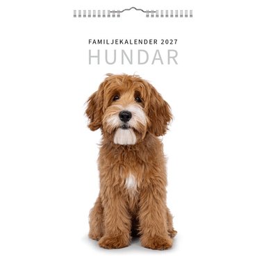 Familjekalender 2027 Hundar, Övrigt