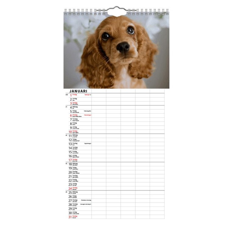 Familjekalender 2027 Hundar, Övrigt