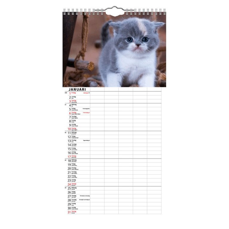 Familjekalender 2027 Katter, Övrigt