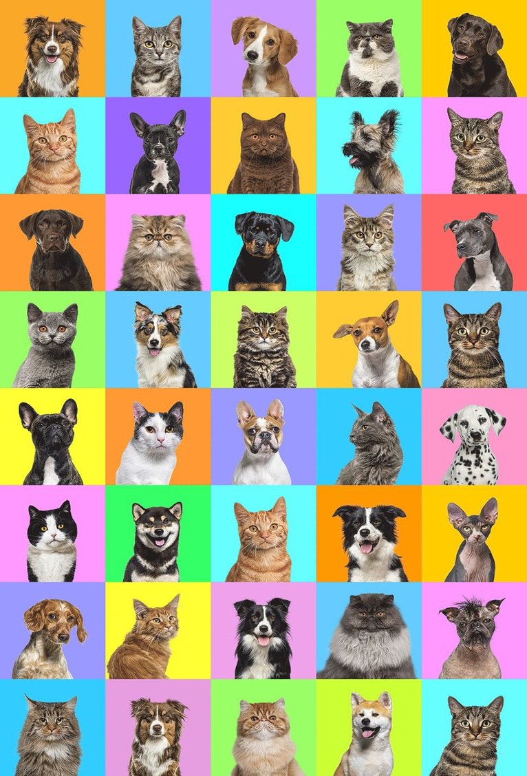 Minipussel 150 bitar Hund och Katt, Övrigt