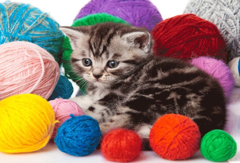 Minipussel 150 bitar Kattunge, Övrigt