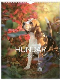 Vggkalender 2024 Stora Hundkalendern