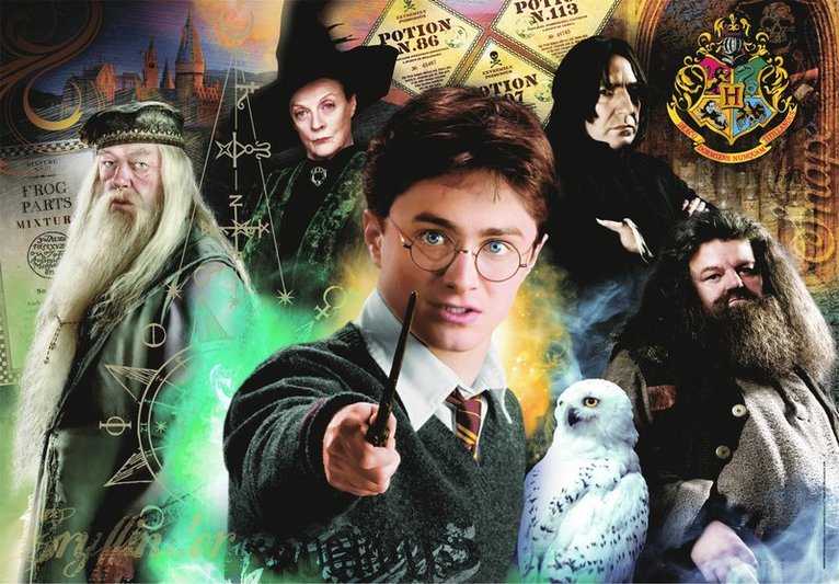 Pussel 500 bitar Harry Potter - High Quality Collection, Övrigt