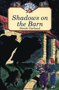 Shadows on the Barn