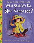 What Shall We Do, Blue Kangaroo?