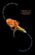 The Secret Goldfish: Stories