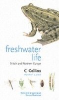 Freshwater Life