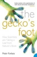 The Geckos Foot