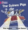 Guinea Pigs