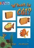 What Is CGI?