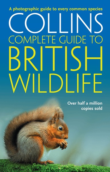 Paul Sterry - British Wildlife, Häftad